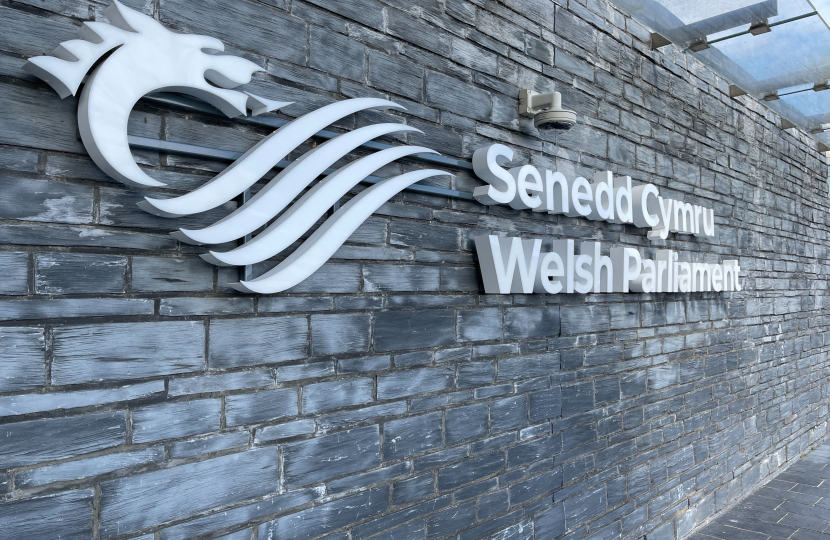 Senedd - Welsh Parliament